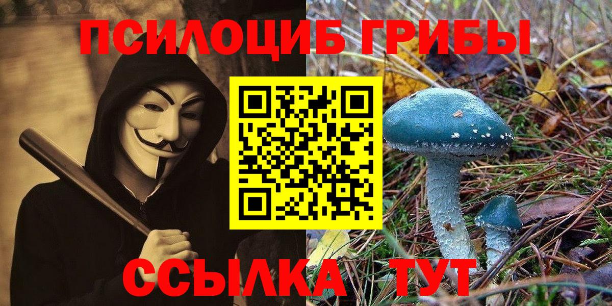 Галлюциногенные грибы Magic Shrooms  Вход с VPN  Советская Гавань  Галлюциногенные грибы Psilocybine cubensis 