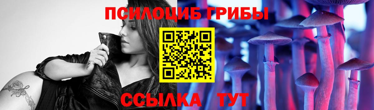 Галлюциногенные грибы Psilocybe Советская Гавань